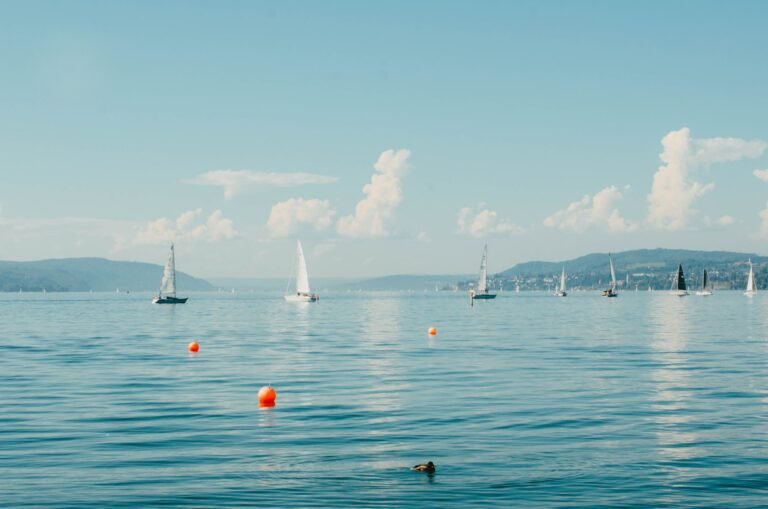 Why You Swim Off Course in Open Water (and How to Fix It)