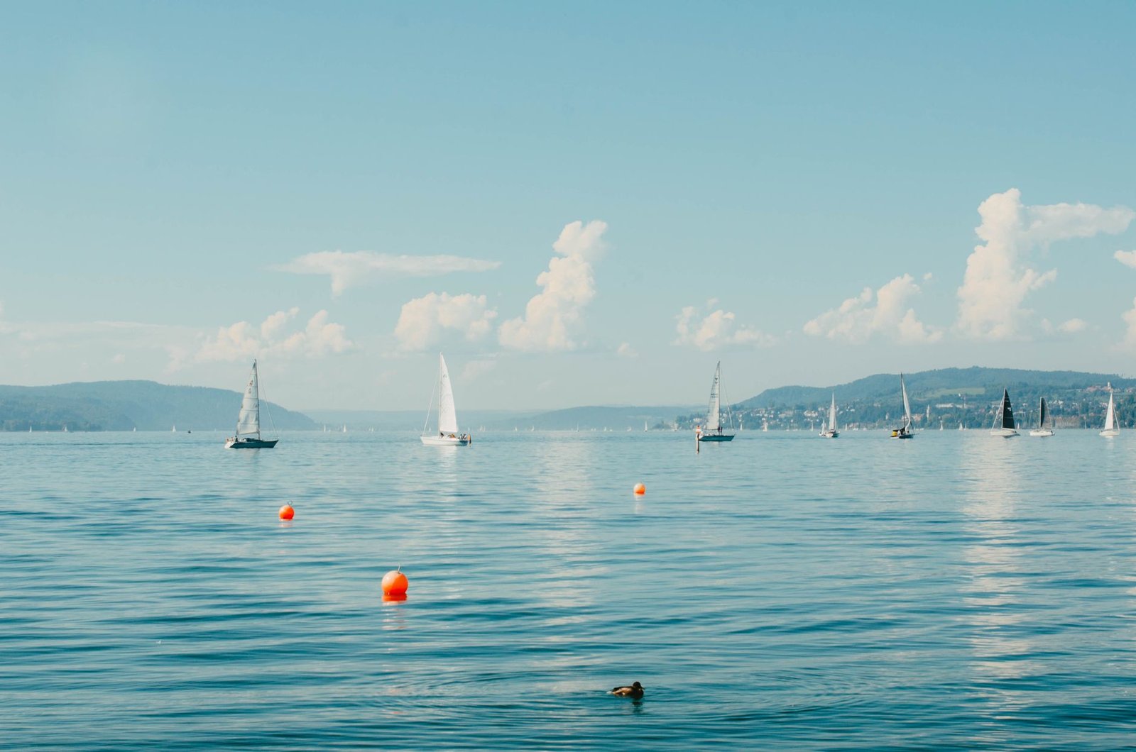 Open water swimmer sighting toward a buoy while staying on course
