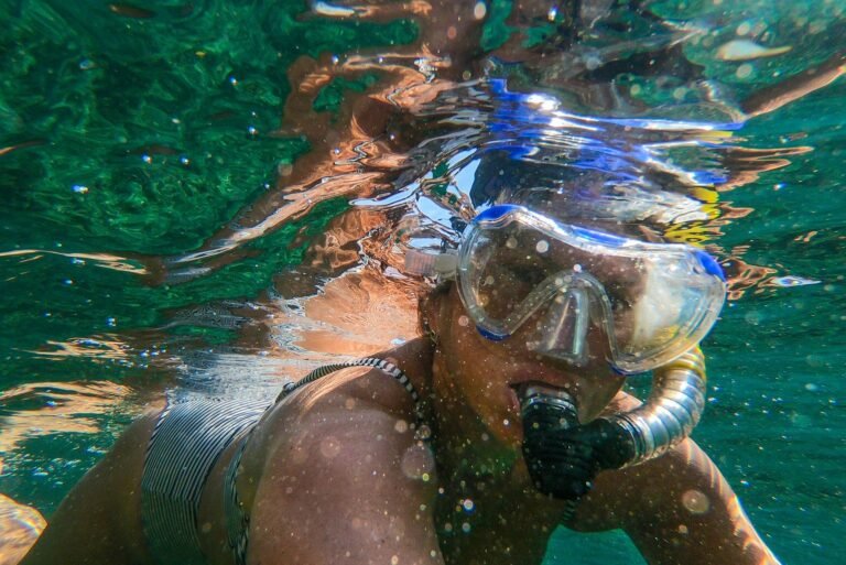 Open-water swimmer wearing goggles near a lake shoreline